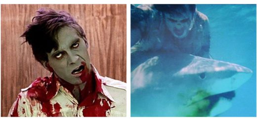 Dawn of the Dead Zombie