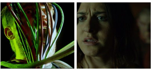 Sequence Break Feral