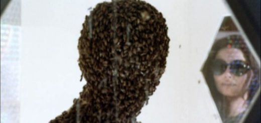 Invasion of the Bee Girls