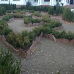 The underwhelming hedge maze